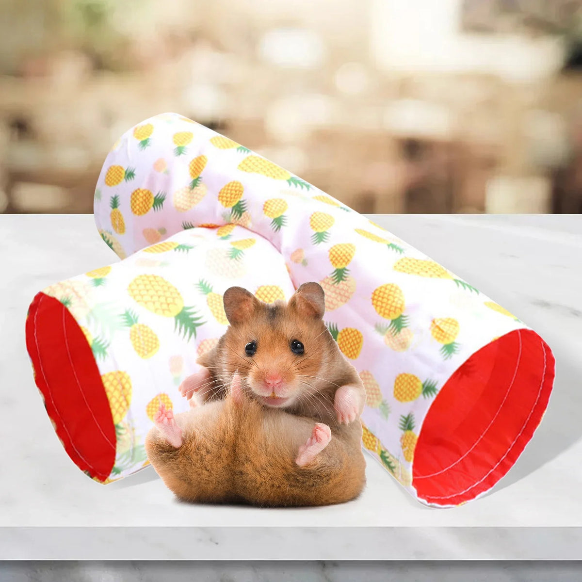 Small Guinea Pig Hamster Toy Tubes Tunnels - MyPetDollar.com
