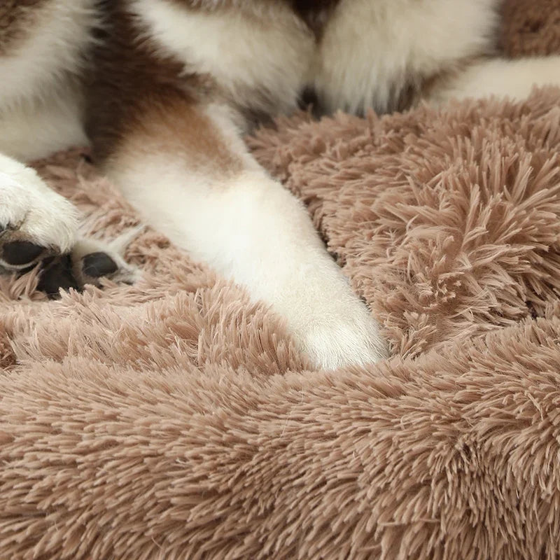 Pet Dog Bed Mat Basket Sofa Cats Products - MyPetDollar.com