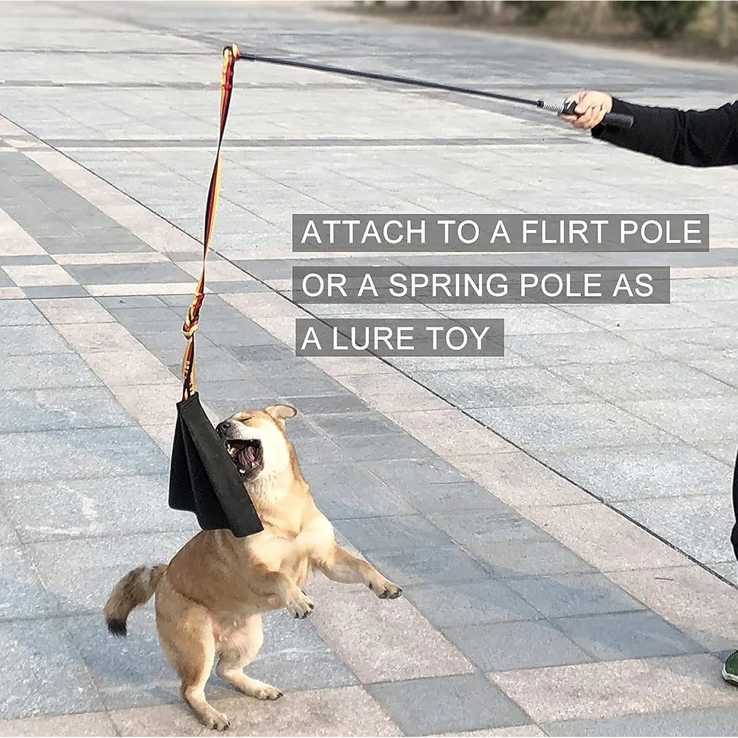 Interactive Flirt Pole for Dogs, Leather - MyPetDollar.com