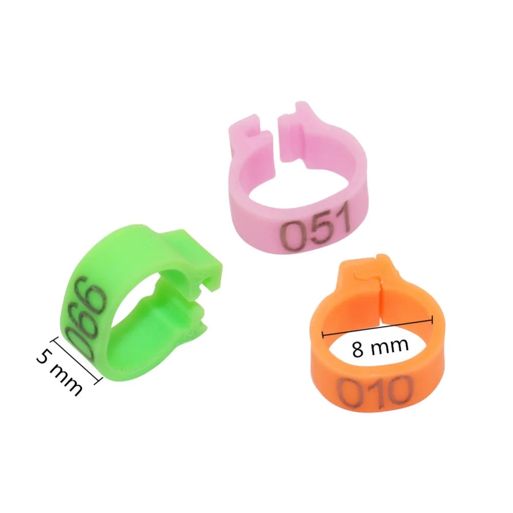 100 Pcs Bird Foot Ring Inner Diameter 8mm - MyPetDollar.com