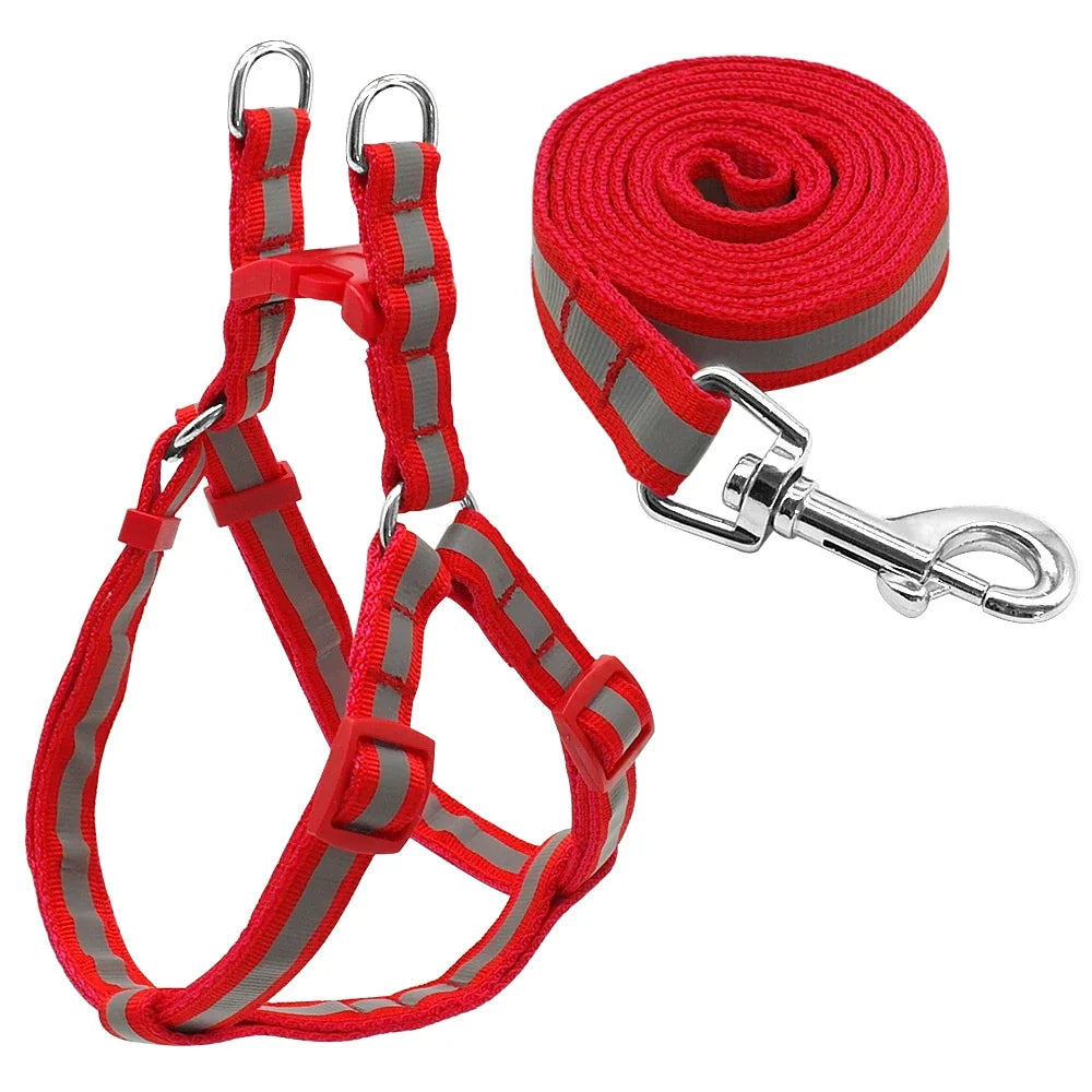 Reflective Nylon Dog Harness and Leash Set - MyPetDollar.com