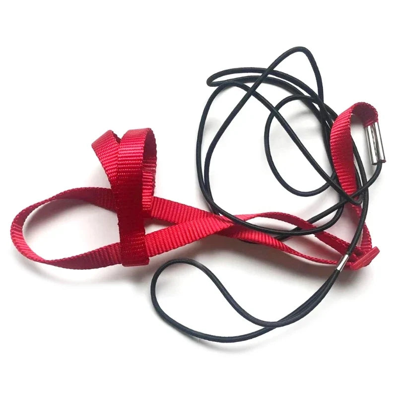 Parrot Bird Harness Leash Outdoor Flying - MyPetDollar.com