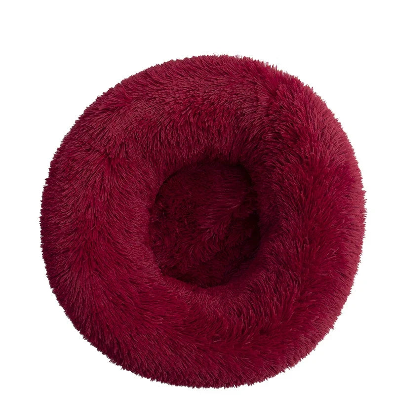 Donut Mand Dog Accessories for Large Dogs - MyPetDollar.com