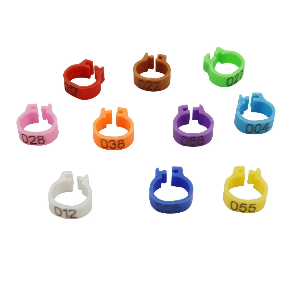 100 Pcs Bird Foot Ring Inner Diameter 8mm - MyPetDollar.com
