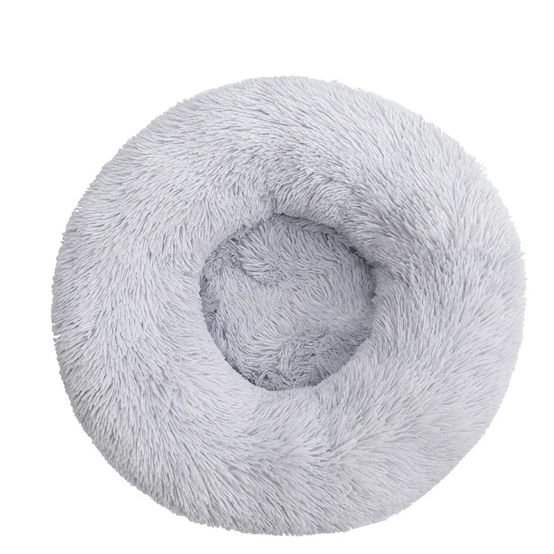 Donut Mand Dog Accessories for Large Dogs - MyPetDollar.com