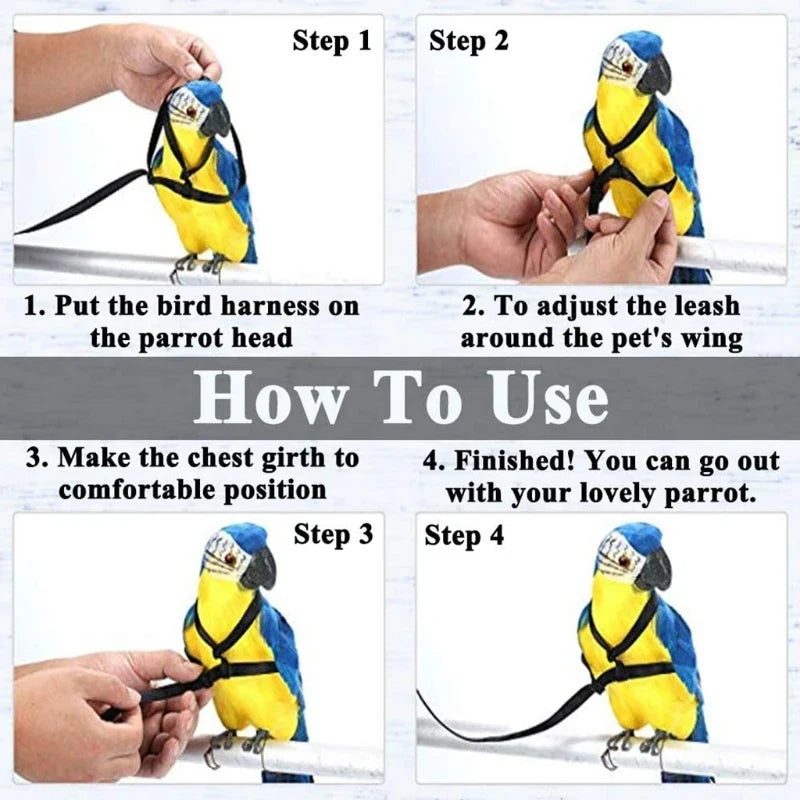 Parrot Bird Harness Leash Outdoor Flying - MyPetDollar.com