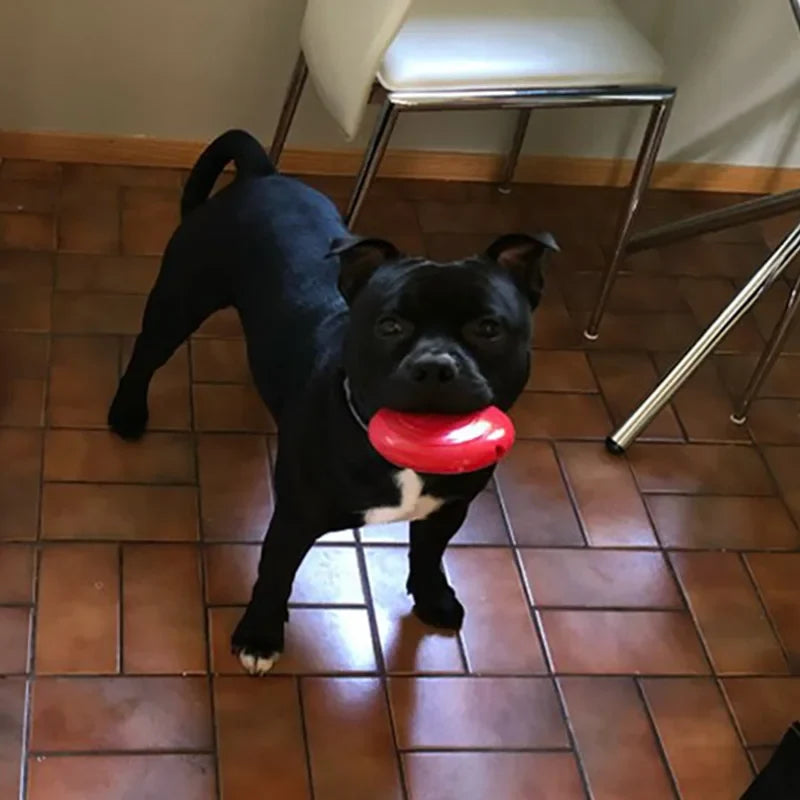 CAITEC Dog Toys Squeaking Foraging Disc - MyPetDollar.com