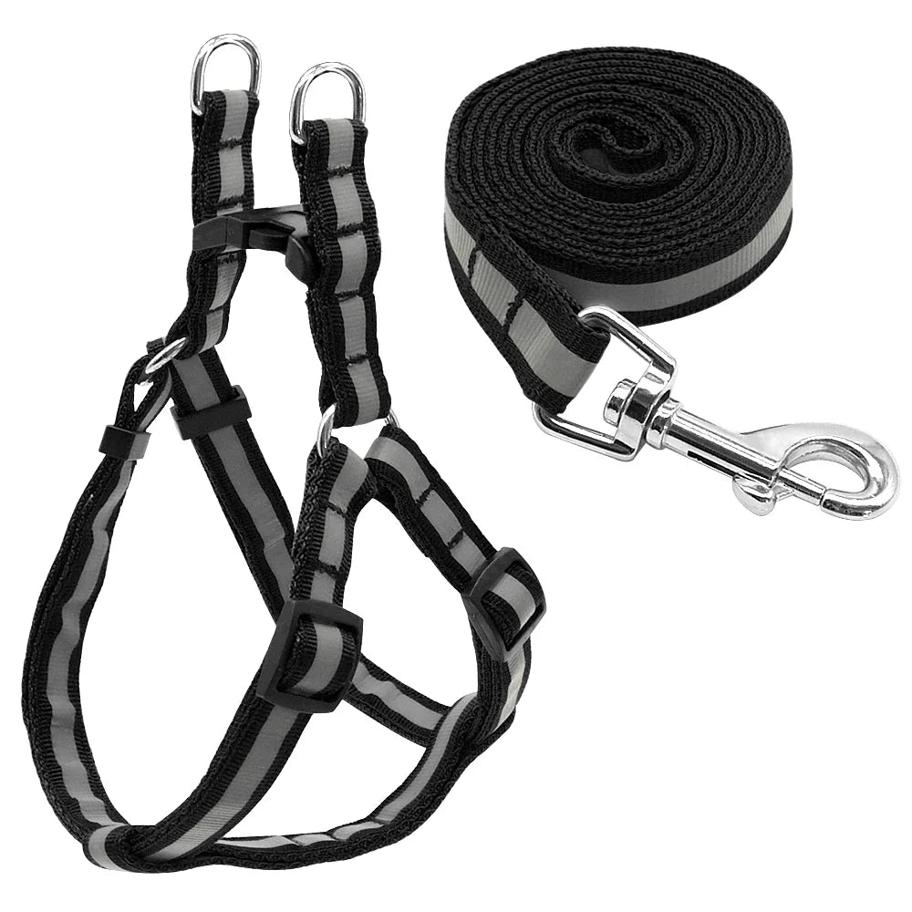 Reflective Nylon Dog Harness and Leash Set - MyPetDollar.com
