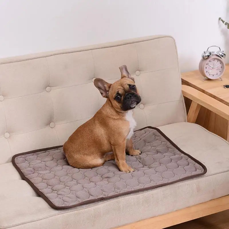 Dog Mat Cooling Summer Pad Mat For Dogs Cat - MyPetDollar.com