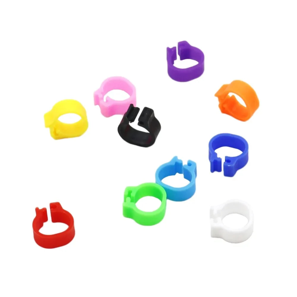 Multicolor Pigeons Rings 10mm Bayonet - MyPetDollar.com