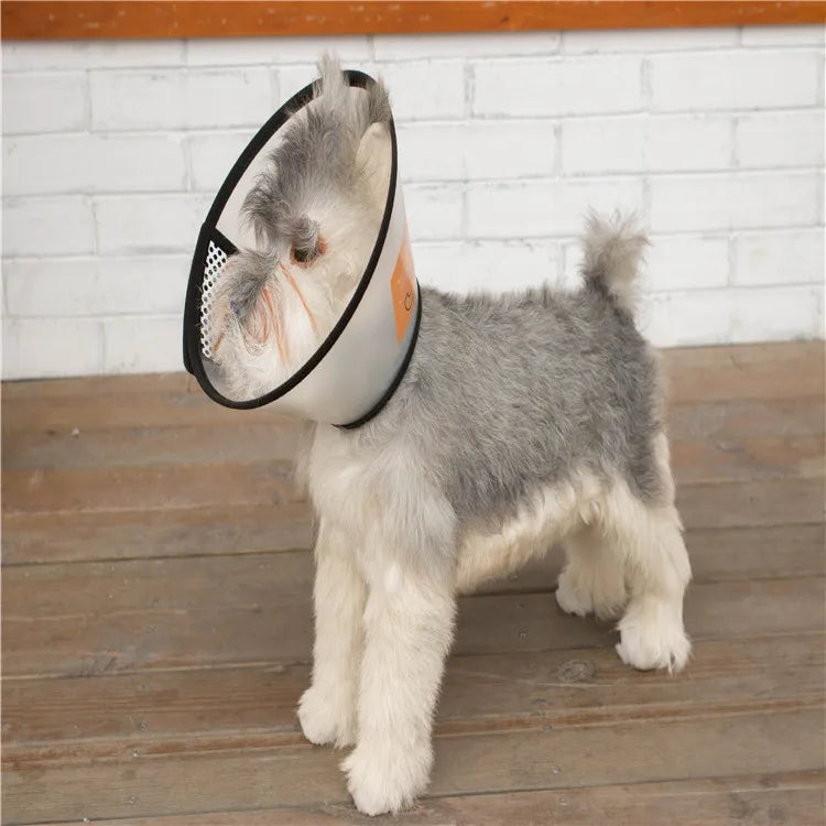 Anti-Bite Lick Surgery Wound Healing Cat - MyPetDollar.com