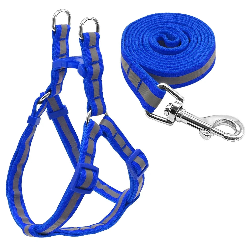 Reflective Nylon Dog Harness and Leash Set - MyPetDollar.com