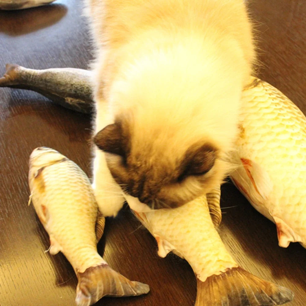 New Pets Plush Simulation Fish Shape Cat Toy - MyPetDollar.com