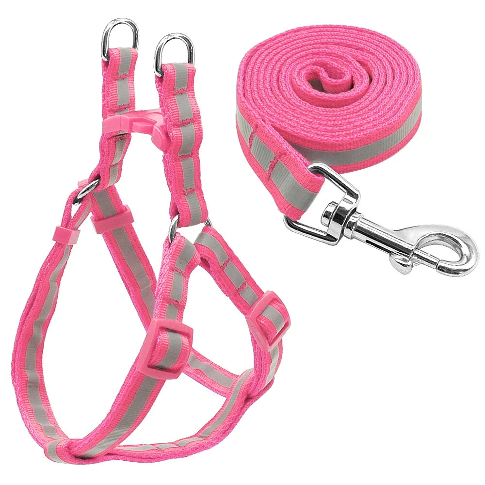 Reflective Nylon Dog Harness and Leash Set - MyPetDollar.com