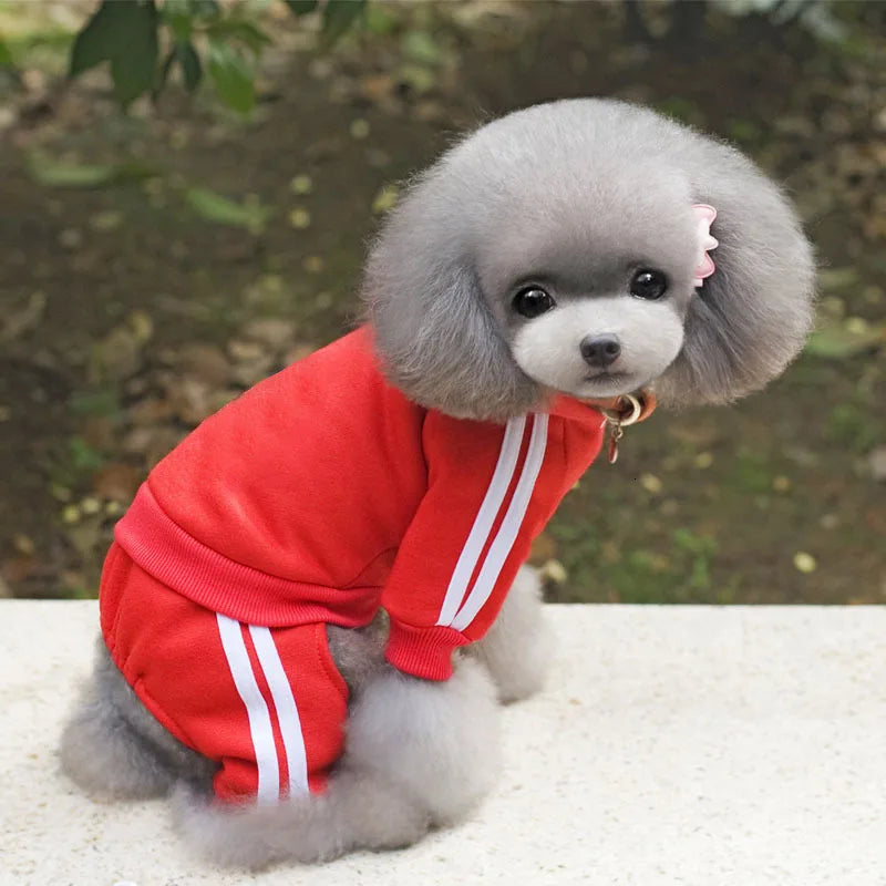 Adidog Dog Clothes Thick Overalls for Dogs, - MyPetDollar.com