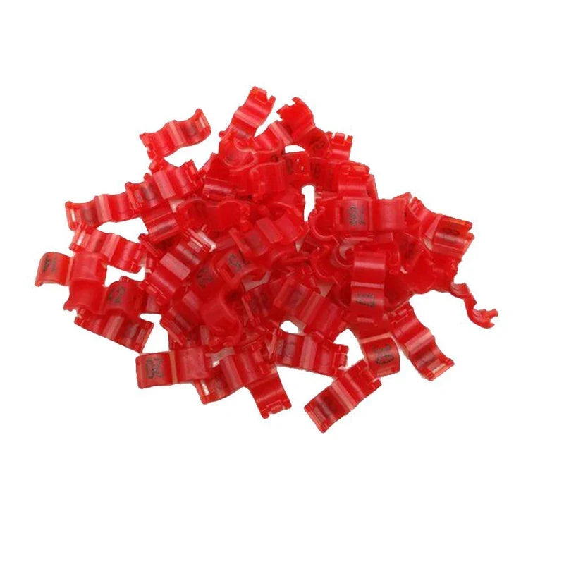 30 Pcs Inner 2.7/ 3/4/4.5/5mm Canary Clip - MyPetDollar.com