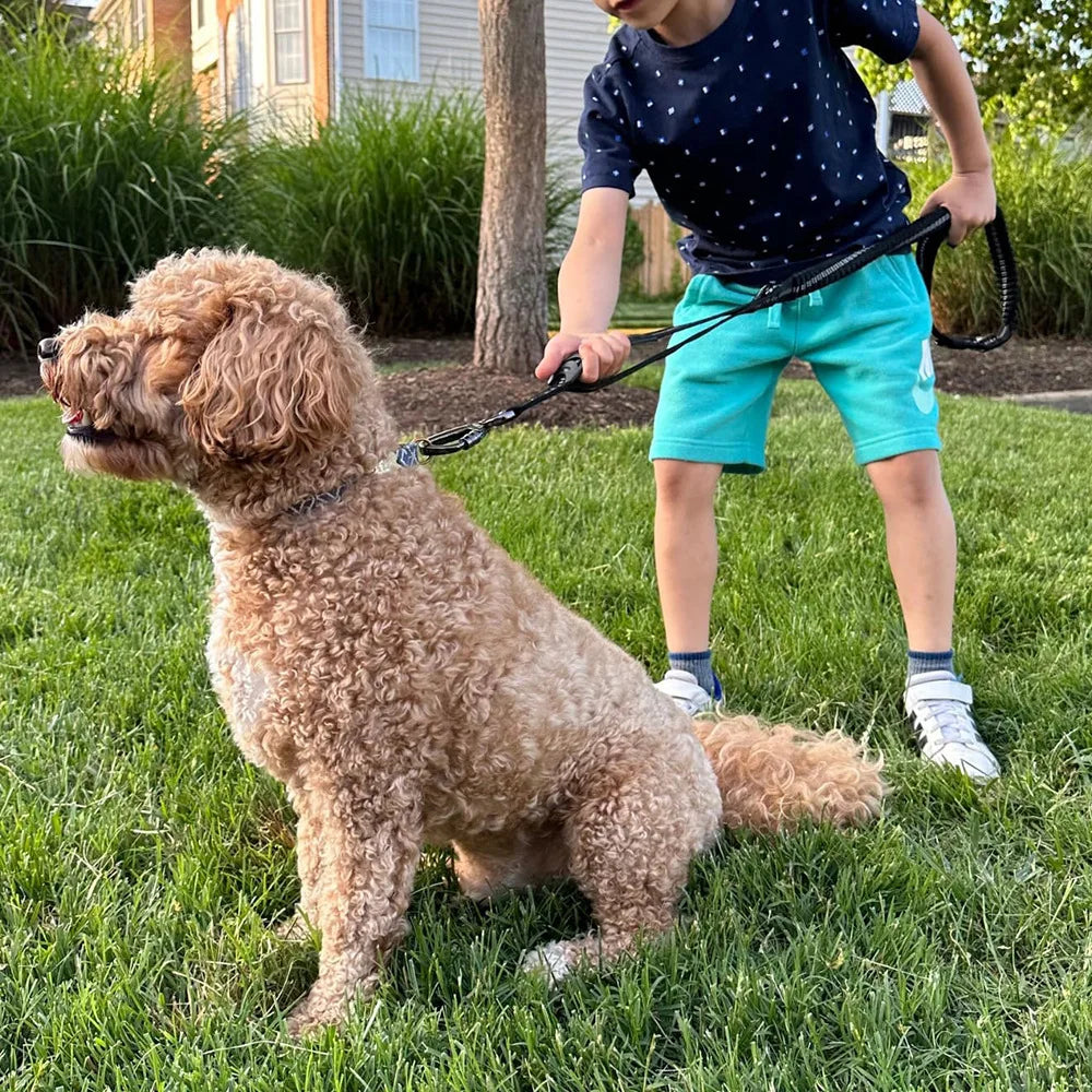 Fashion&cool Heavy Duty Dog Leash Especially - MyPetDollar.com