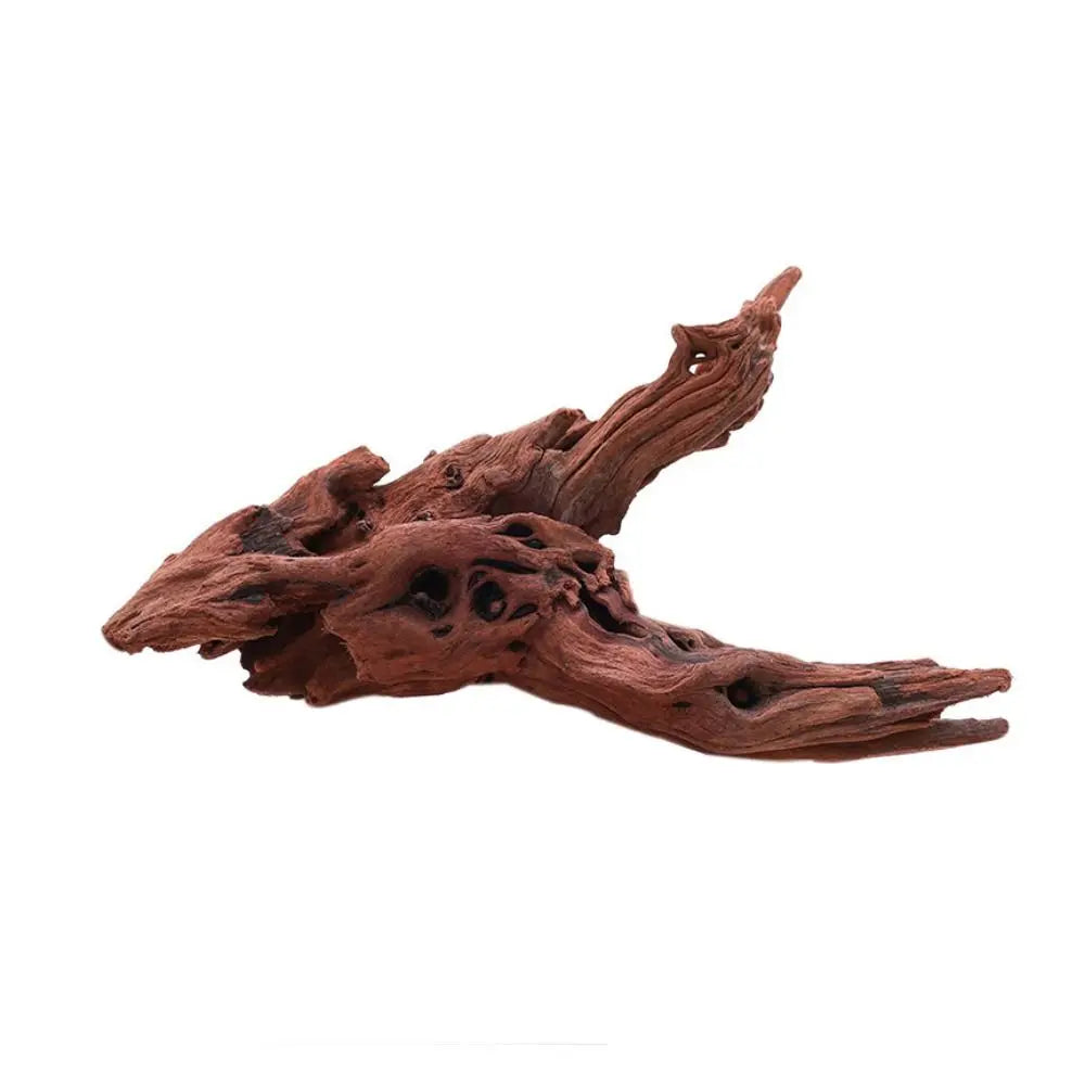 Creative Irregular Shape Coral Wood Natural - MyPetDollar.com