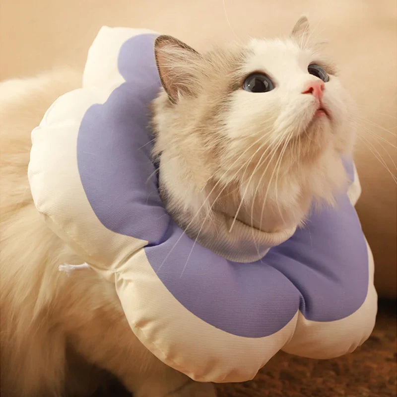 HOOPRT Cat Flower Elizabeth Cotton Neck Pet - MyPetDollar.com