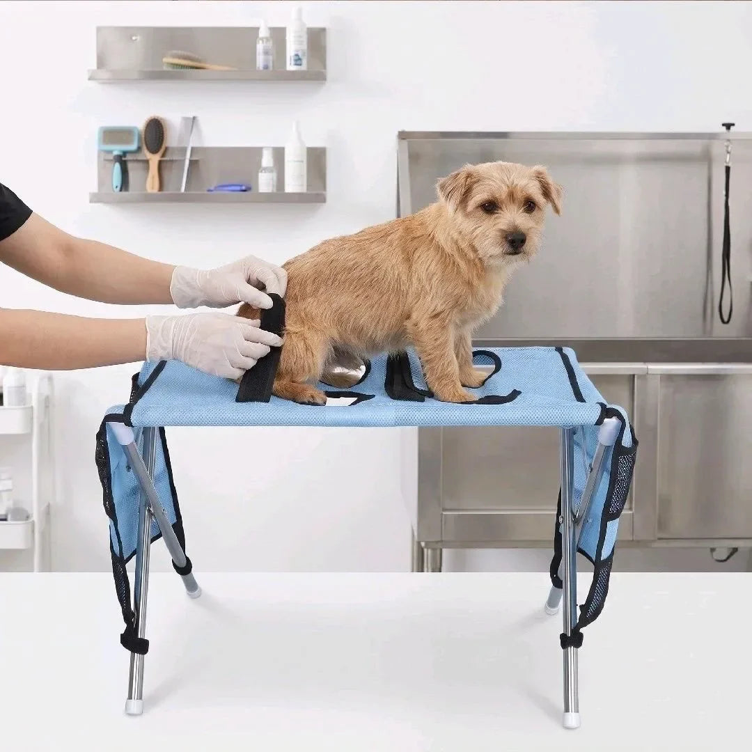 Pet Grooming Table Foldable Dog Cat Grooming - MyPetDollar.com
