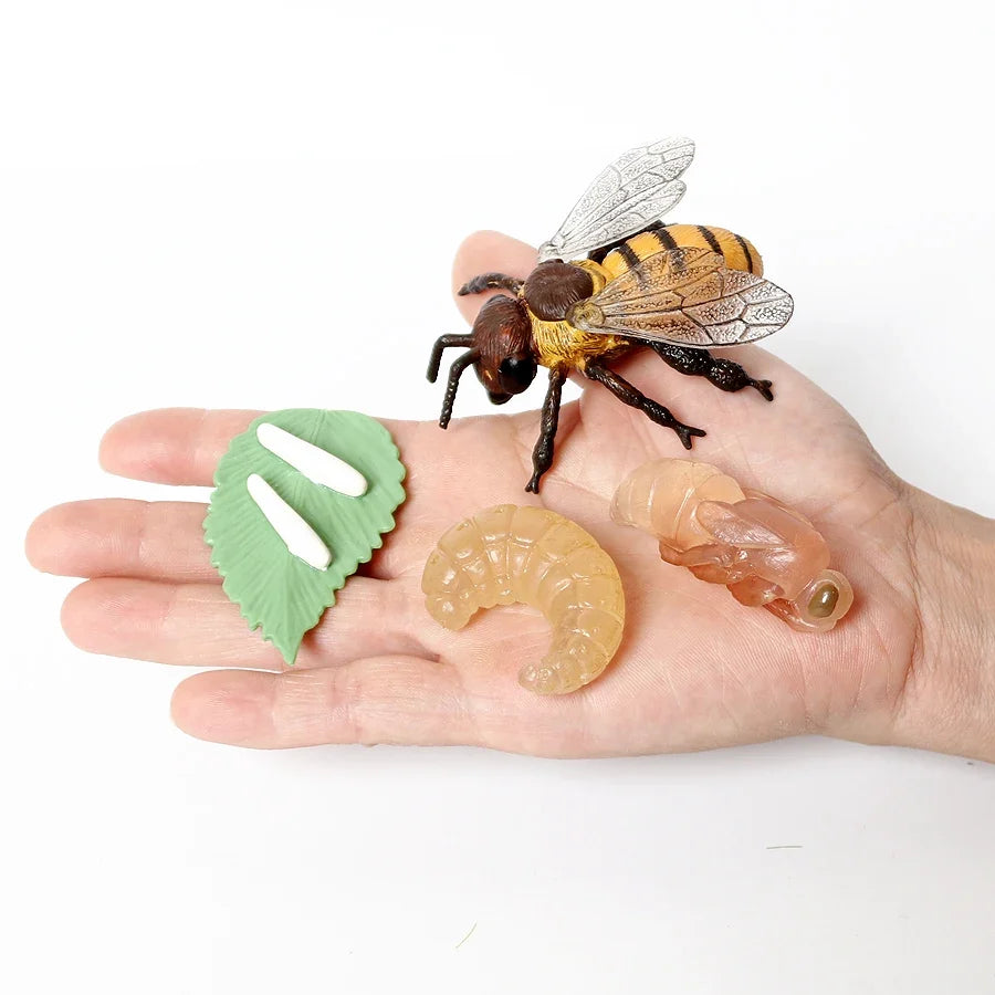 Realistic Insect Grasshopper Mosquito Cicad - MyPetDollar.com