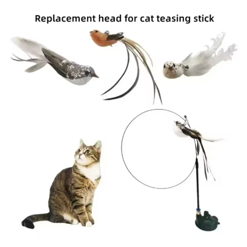 Suction cup feather cat teasing stick - MyPetDollar.com