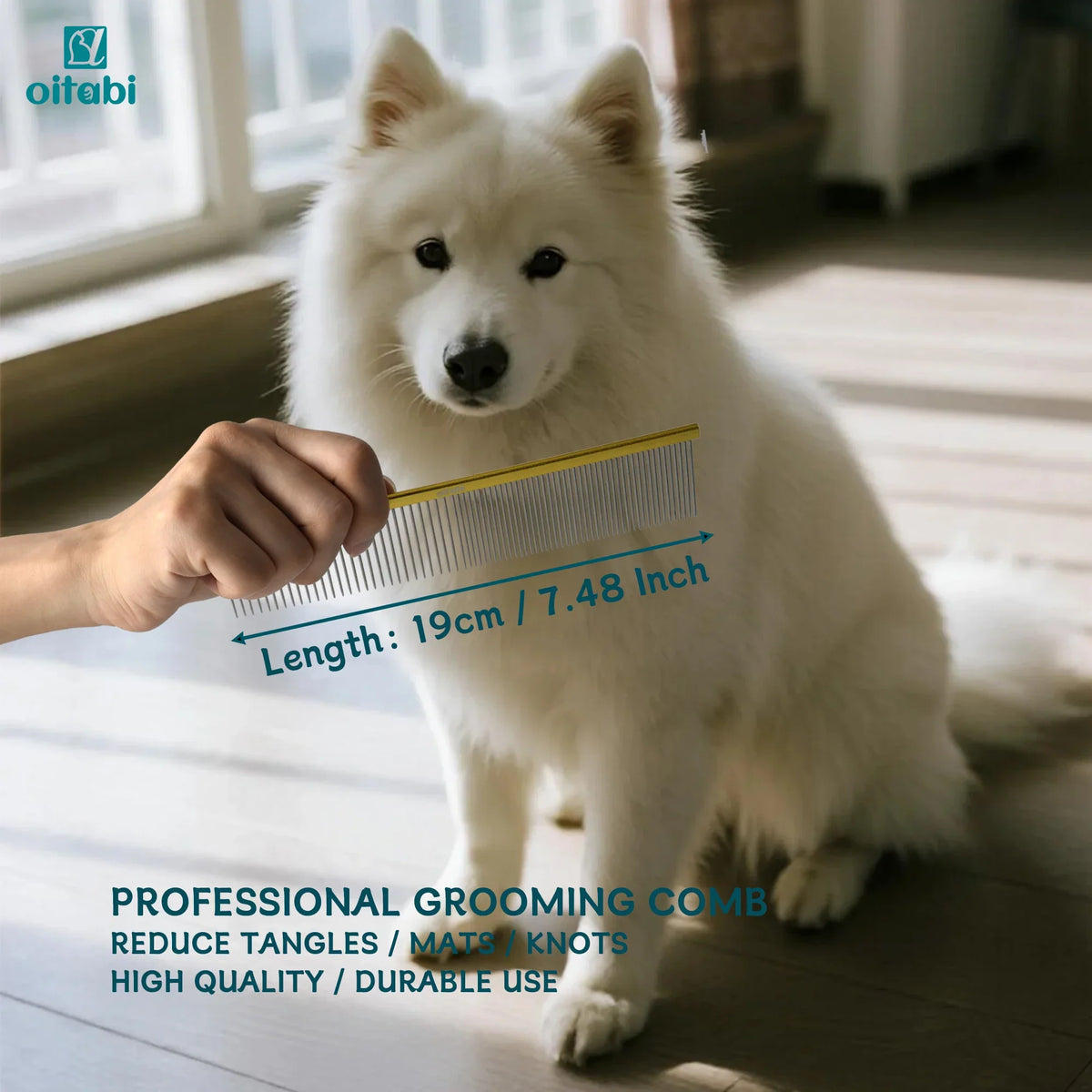 Oitabi Professional Pet Grooming Comb for - MyPetDollar.com