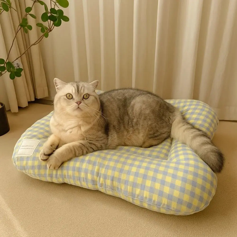 Breathable Warm Dog Bed Pad Macaron Non-slip - MyPetDollar.com