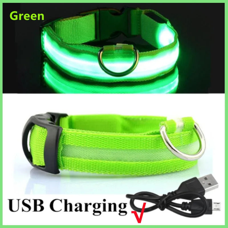 USB Rechargeable Luminous Collar Adjustable - MyPetDollar.com