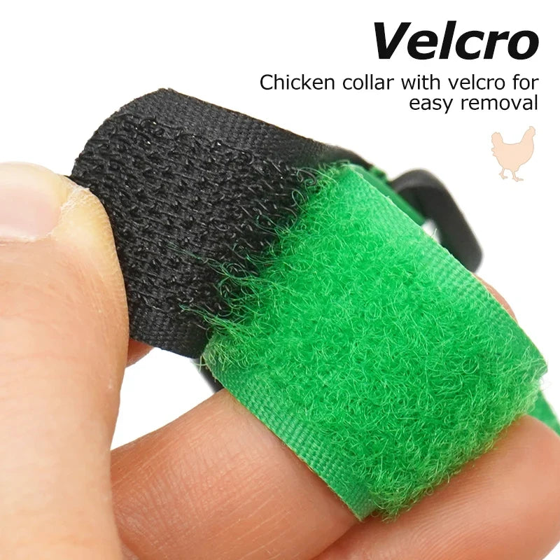 2Pcs No Crow Rooster Collar Chicken Collar - MyPetDollar.com
