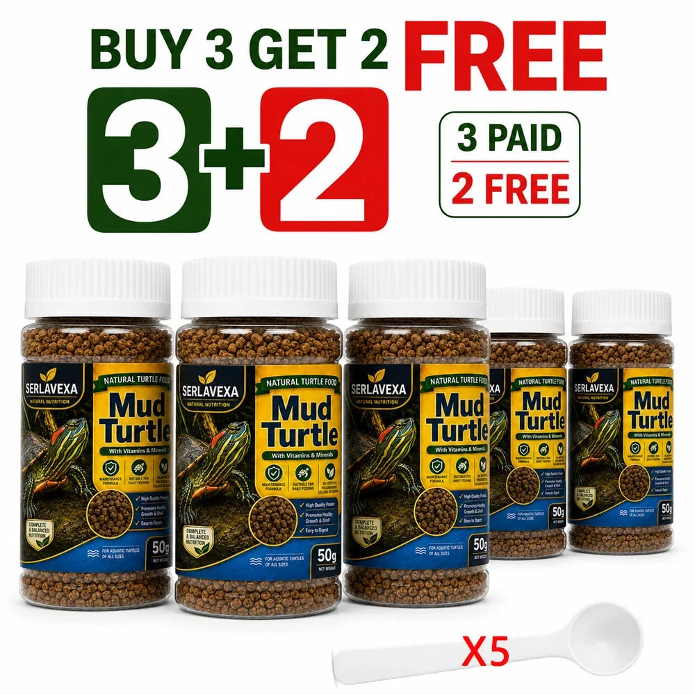 SERLAVEXA 4PCS Turtle Care Set Mud Turtle - MyPetDollar.com