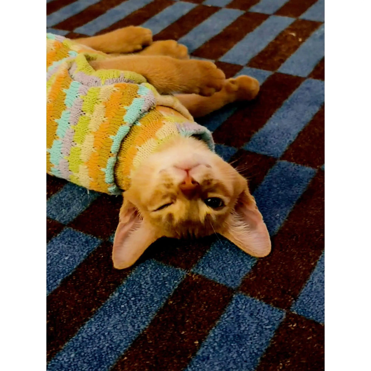 Thickened Warm Striped Sweater Vest Two Legs - MyPetDollar.com