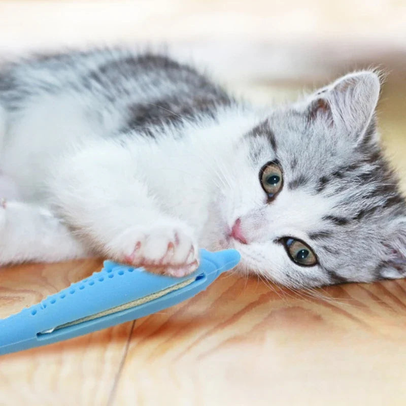Cat Teeth Brushing Toy Teeth Cleaning Cat - MyPetDollar.com