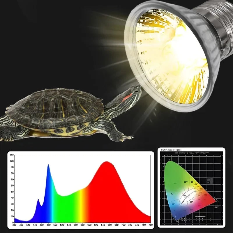 25/50/75W UVA UVB Reptile Lamp Bulb Turtle - MyPetDollar.com