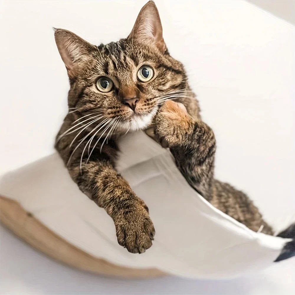 Cat Hammock Wall Mounted Cat Shelf Cat Wall - MyPetDollar.com