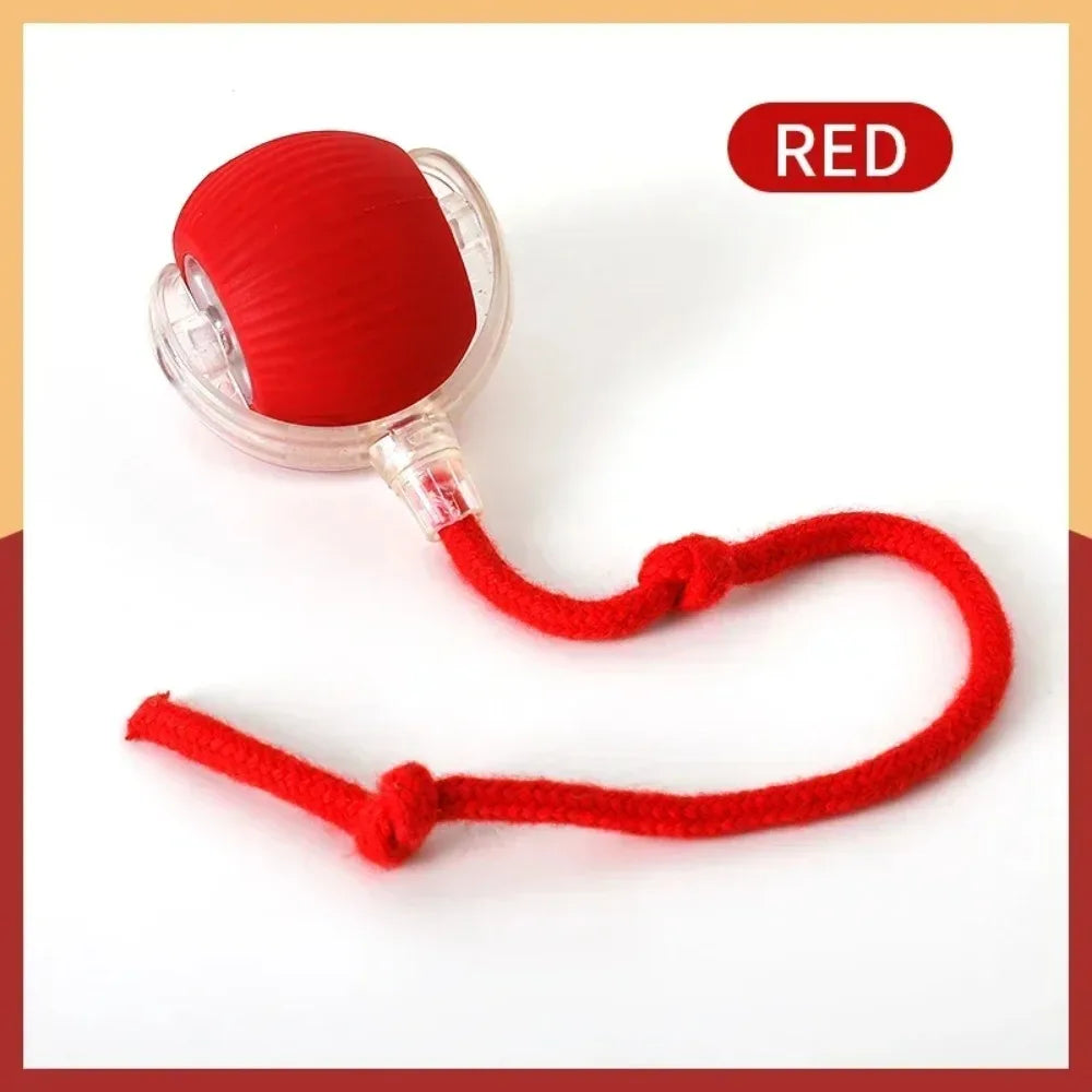 Cat Interactive Ball Smart Pet Cat Toys - MyPetDollar.com