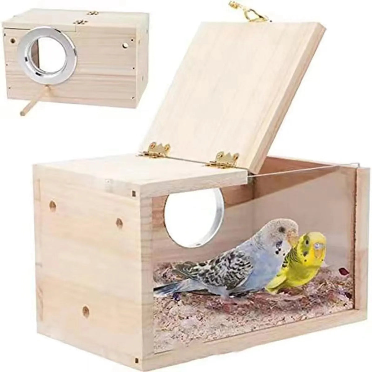 Transparent Design Parakeet Cockatiel Bird - MyPetDollar.com