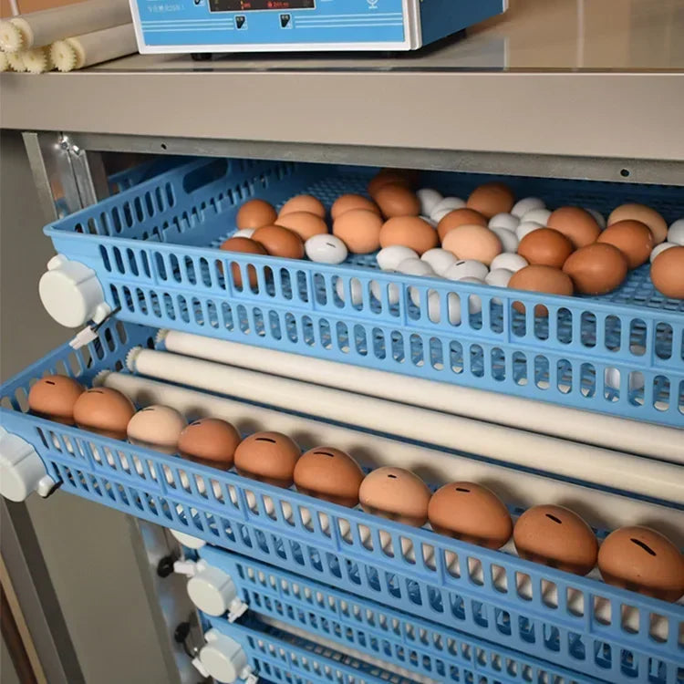 1000 Egg Incubator Automatic Egg Turnover - MyPetDollar.com