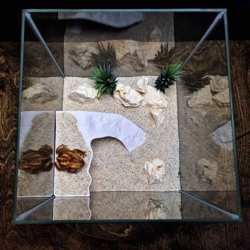 Multi-Functional 3D Printed Tidal Basking - MyPetDollar.com