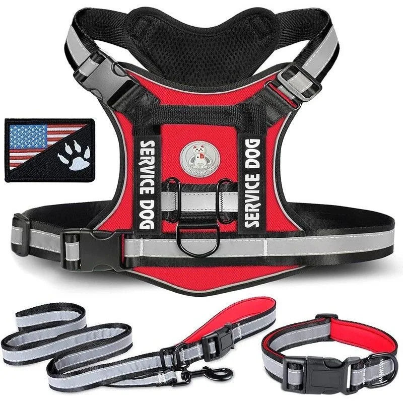Doberman Dog Harness Collar Leash Set - MyPetDollar.com
