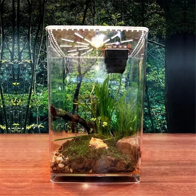 Transparent Acrylic Reptiles Pet Terrarium - MyPetDollar.com