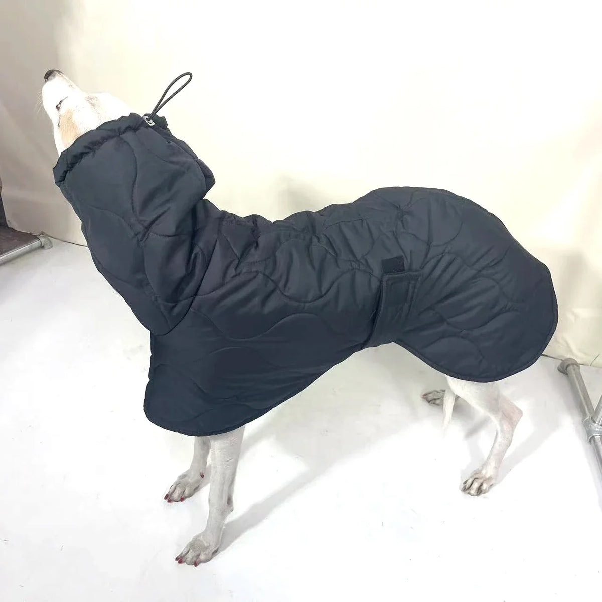 Winter Dog Outer Black Quilted Turtle Collar - MyPetDollar.com