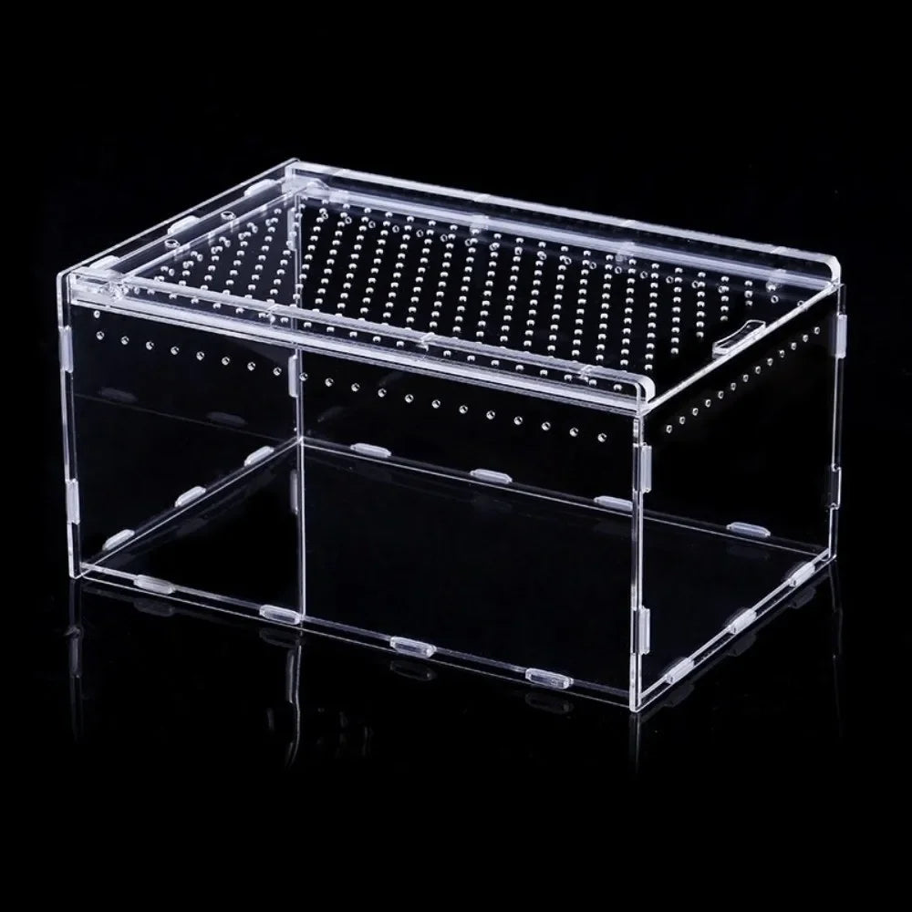 Transparent Reptiles Terrarium
