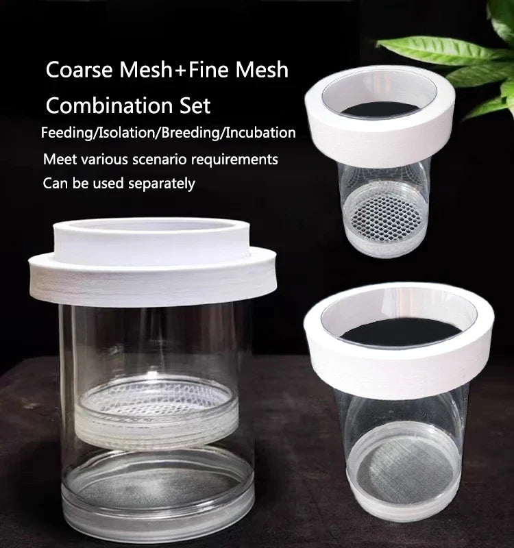Plastic Floating Fish Breeding Isolation Box - MyPetDollar.com
