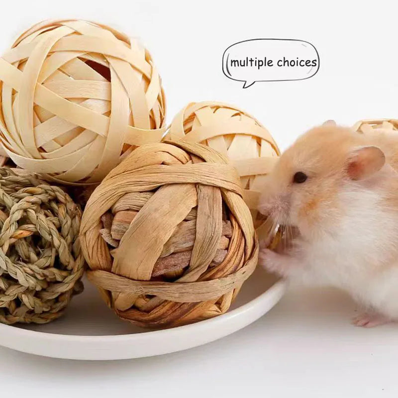 4/5pcs Chewing Braided Ball Guinea Pig - MyPetDollar.com
