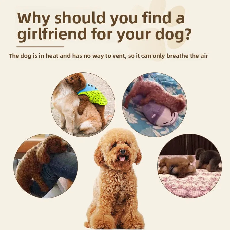 Soft Plush Riding Toy Relieve Small Male Dog - MyPetDollar.com