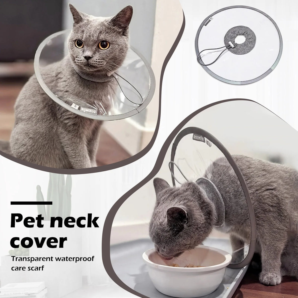 Soft Cat Recovery Collar Protective - MyPetDollar.com