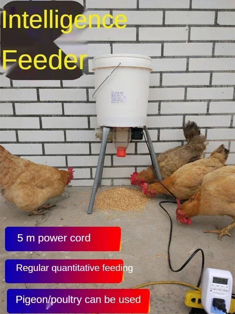 Automatic Chicken Feeder Pigeon Chicken Duck - MyPetDollar.com