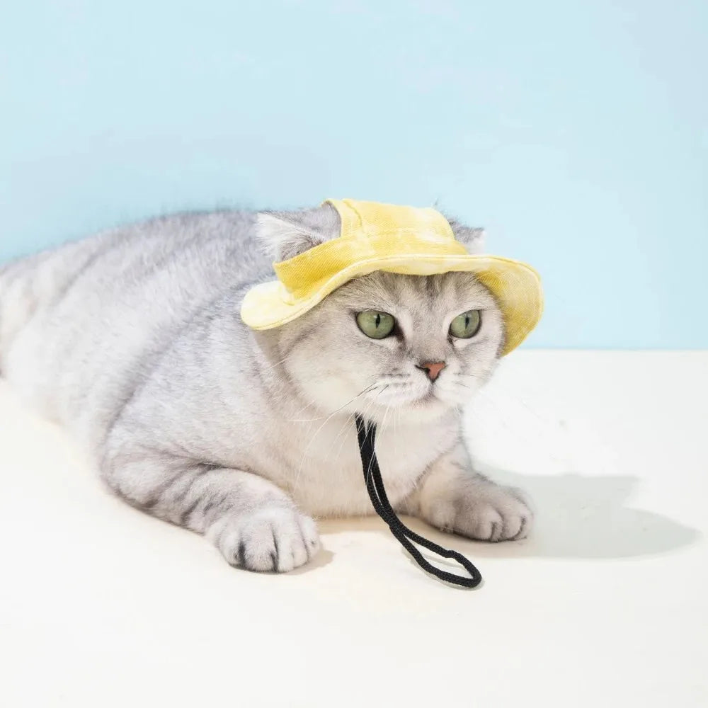 Pets Hat with Ear Holes Adjustable Baseball - MyPetDollar.com