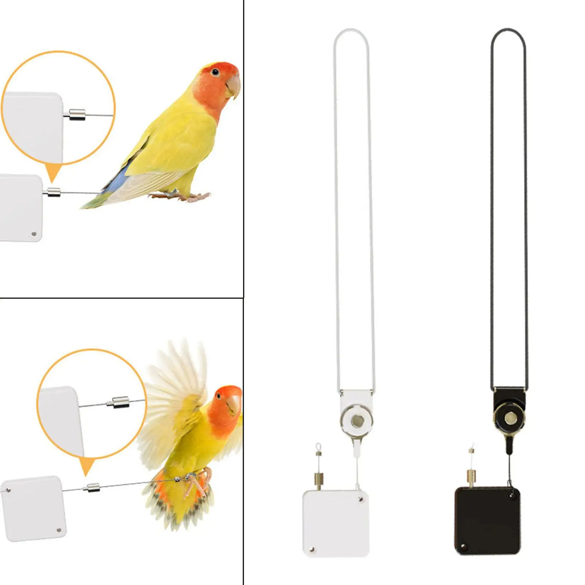 Bird Harness Leash Parrots Flying Rope 210cm - MyPetDollar.com